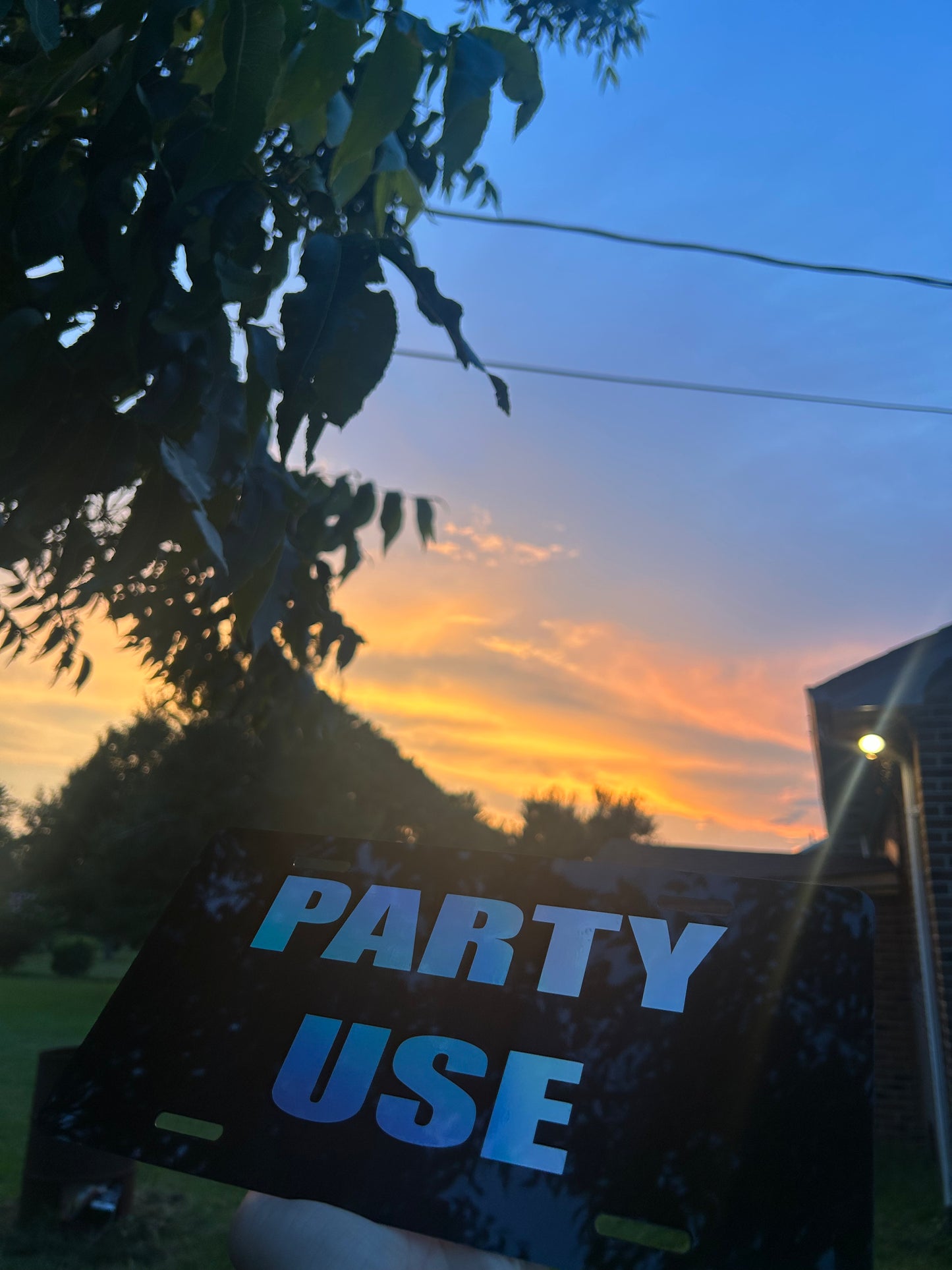 Party Use License Plate